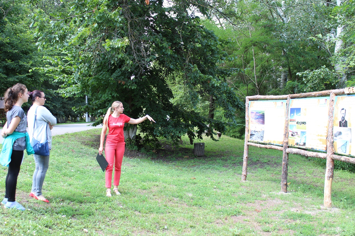 IMG 7391